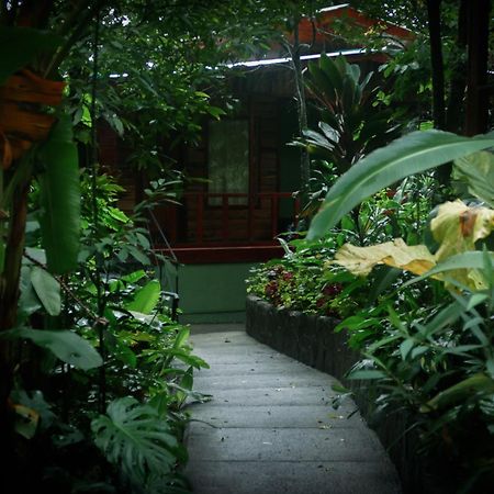 Jaguarundi Jungle Lodge - Monteverde Exteriér fotografie
