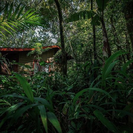 Jaguarundi Jungle Lodge - Monteverde Exteriér fotografie