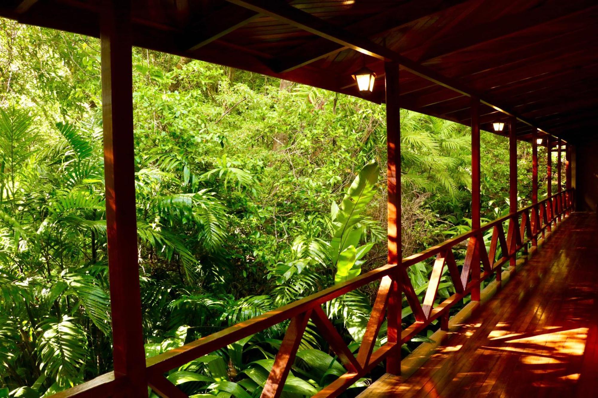 Jaguarundi Jungle Lodge - Monteverde Exteriér fotografie
