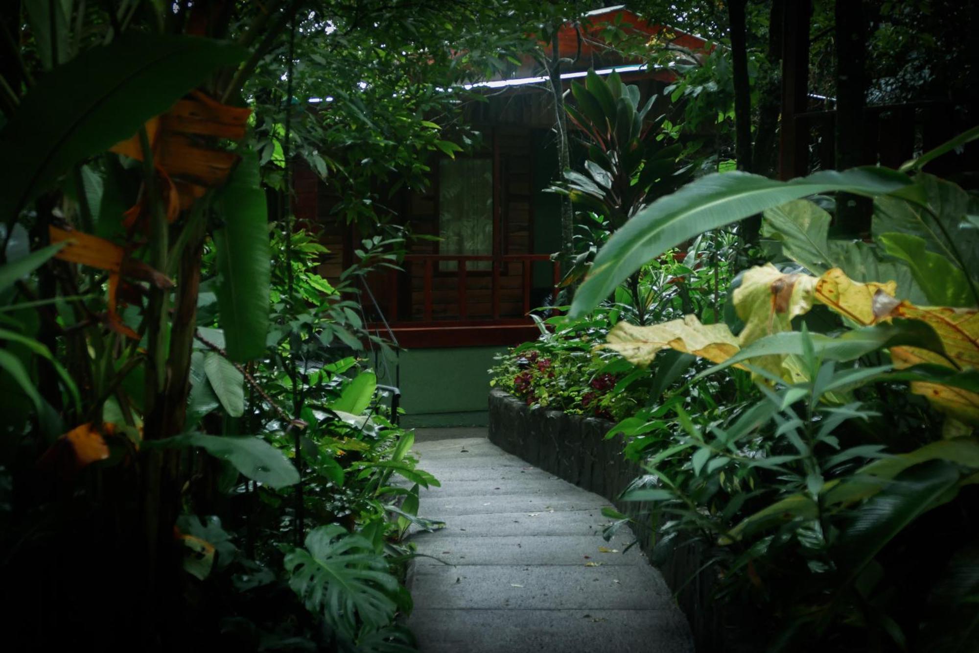 Jaguarundi Jungle Lodge - Monteverde Exteriér fotografie
