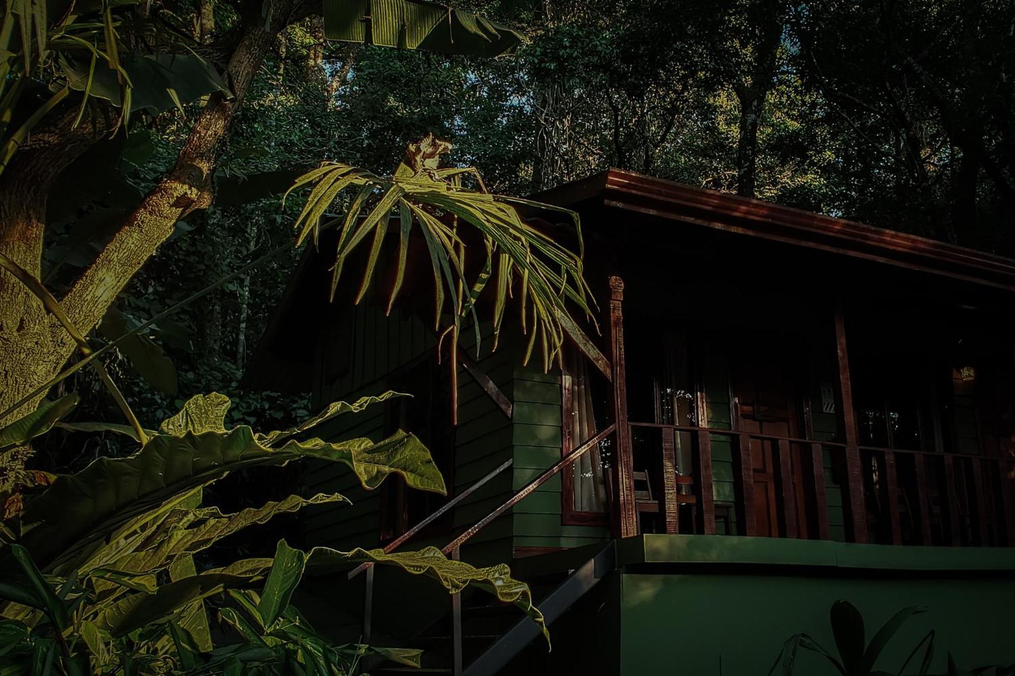Jaguarundi Jungle Lodge - Monteverde Exteriér fotografie