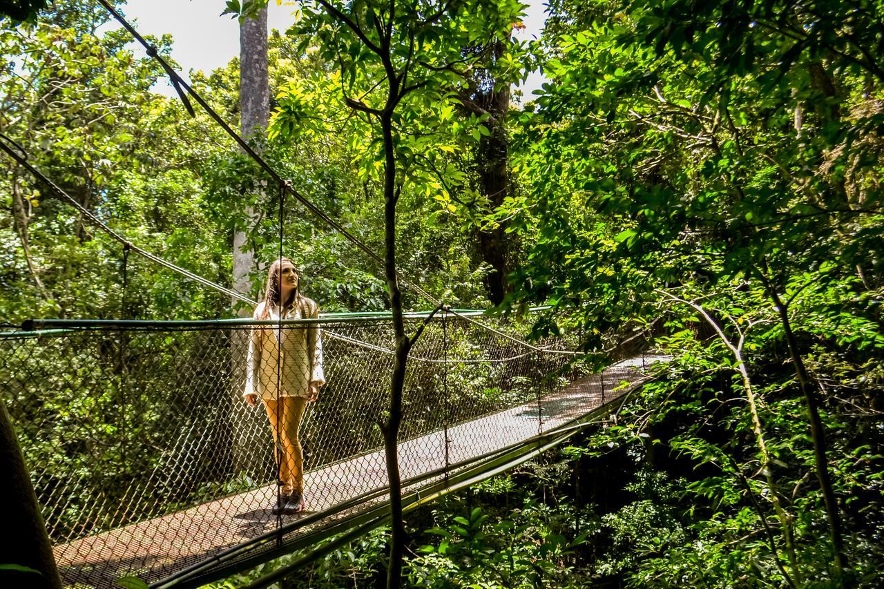 Jaguarundi Jungle Lodge - Monteverde Exteriér fotografie