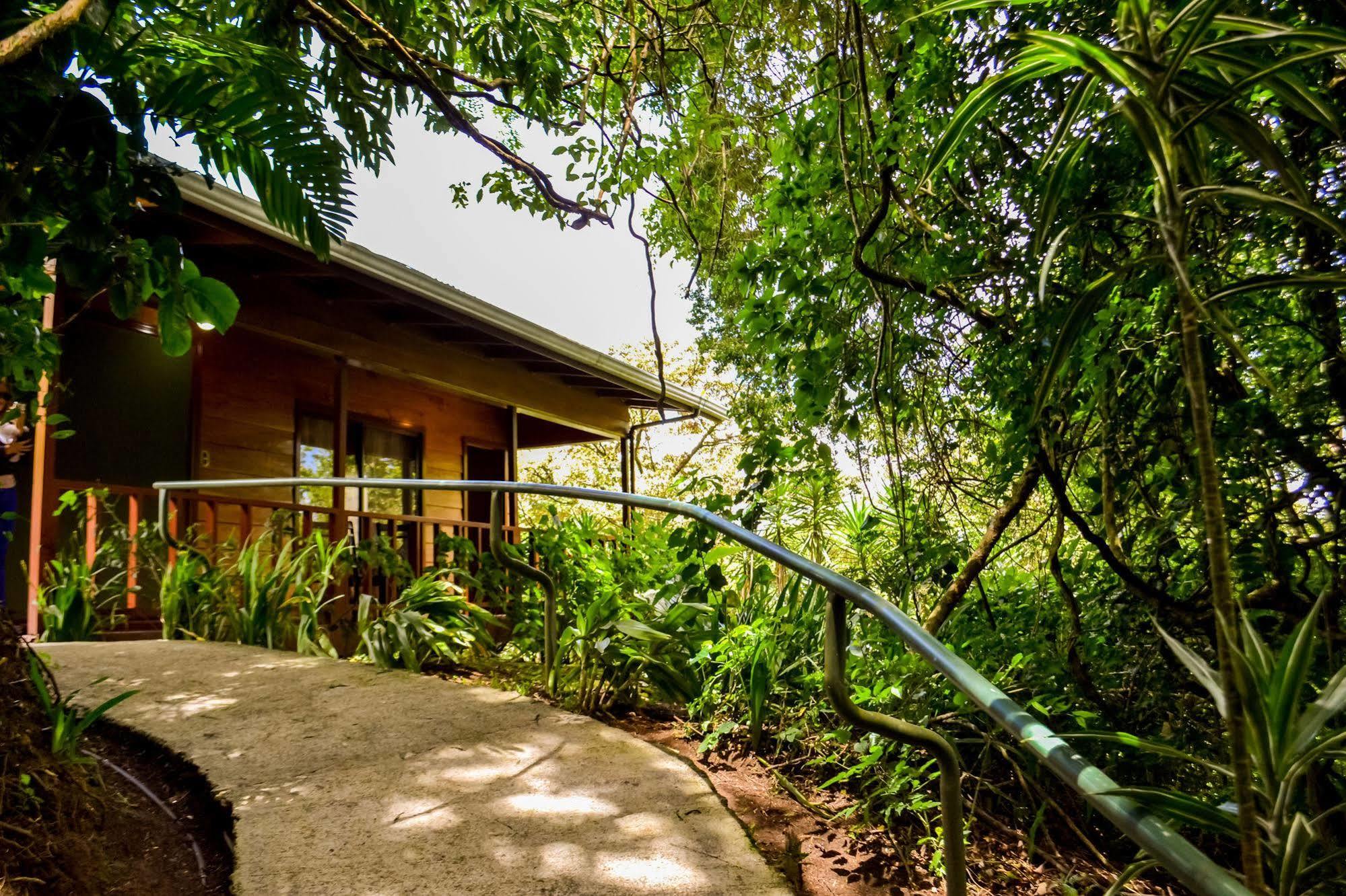 Jaguarundi Jungle Lodge - Monteverde Exteriér fotografie