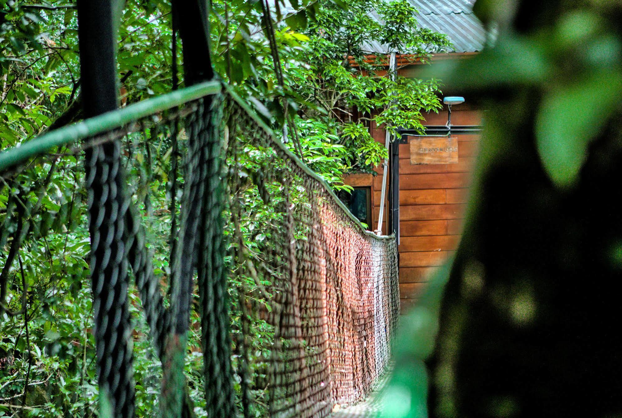 Jaguarundi Jungle Lodge - Monteverde Exteriér fotografie