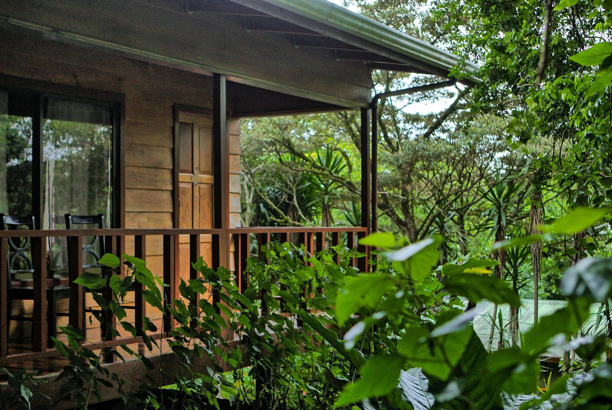 Jaguarundi Jungle Lodge - Monteverde Exteriér fotografie
