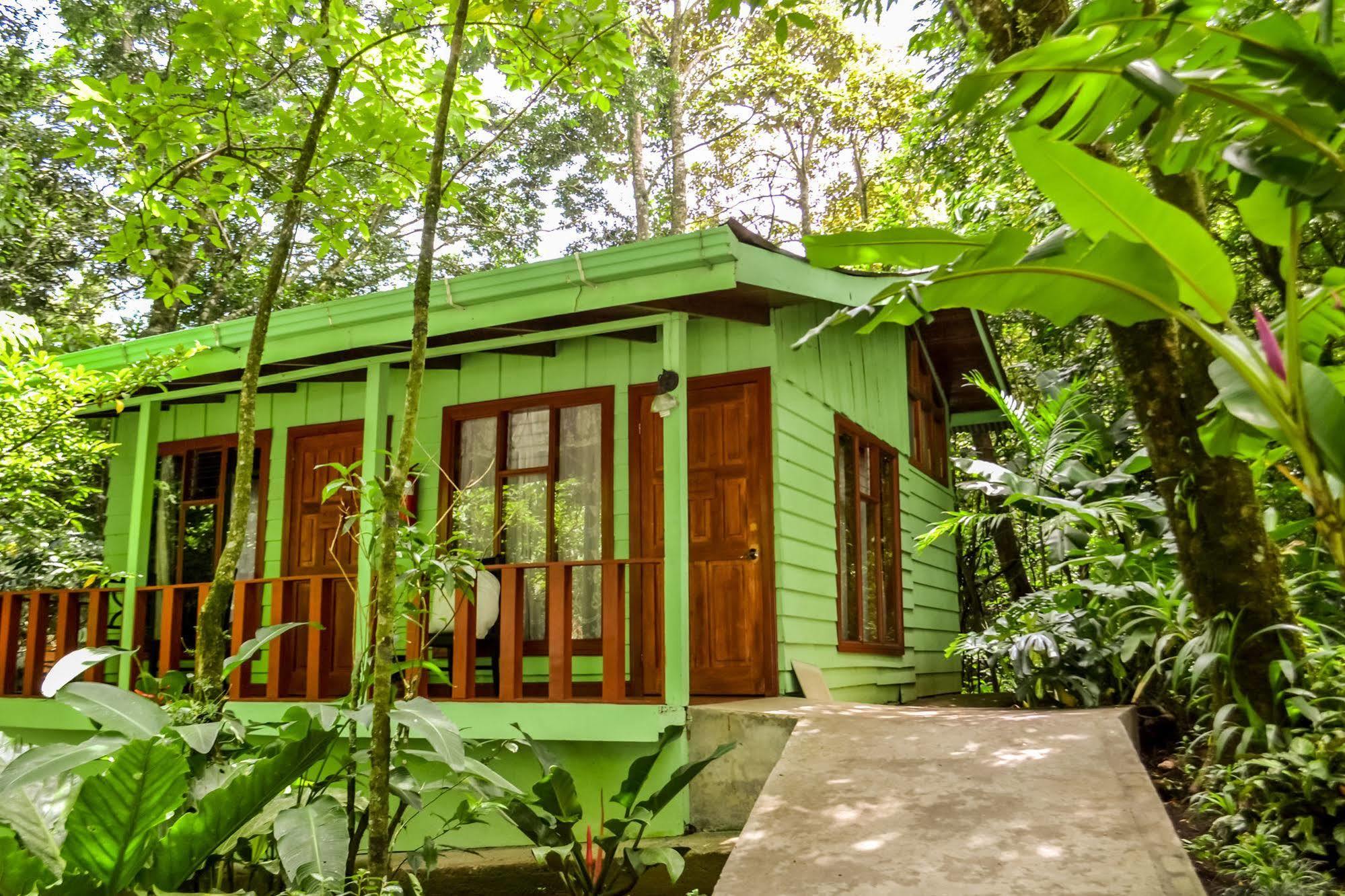 Jaguarundi Jungle Lodge - Monteverde Exteriér fotografie