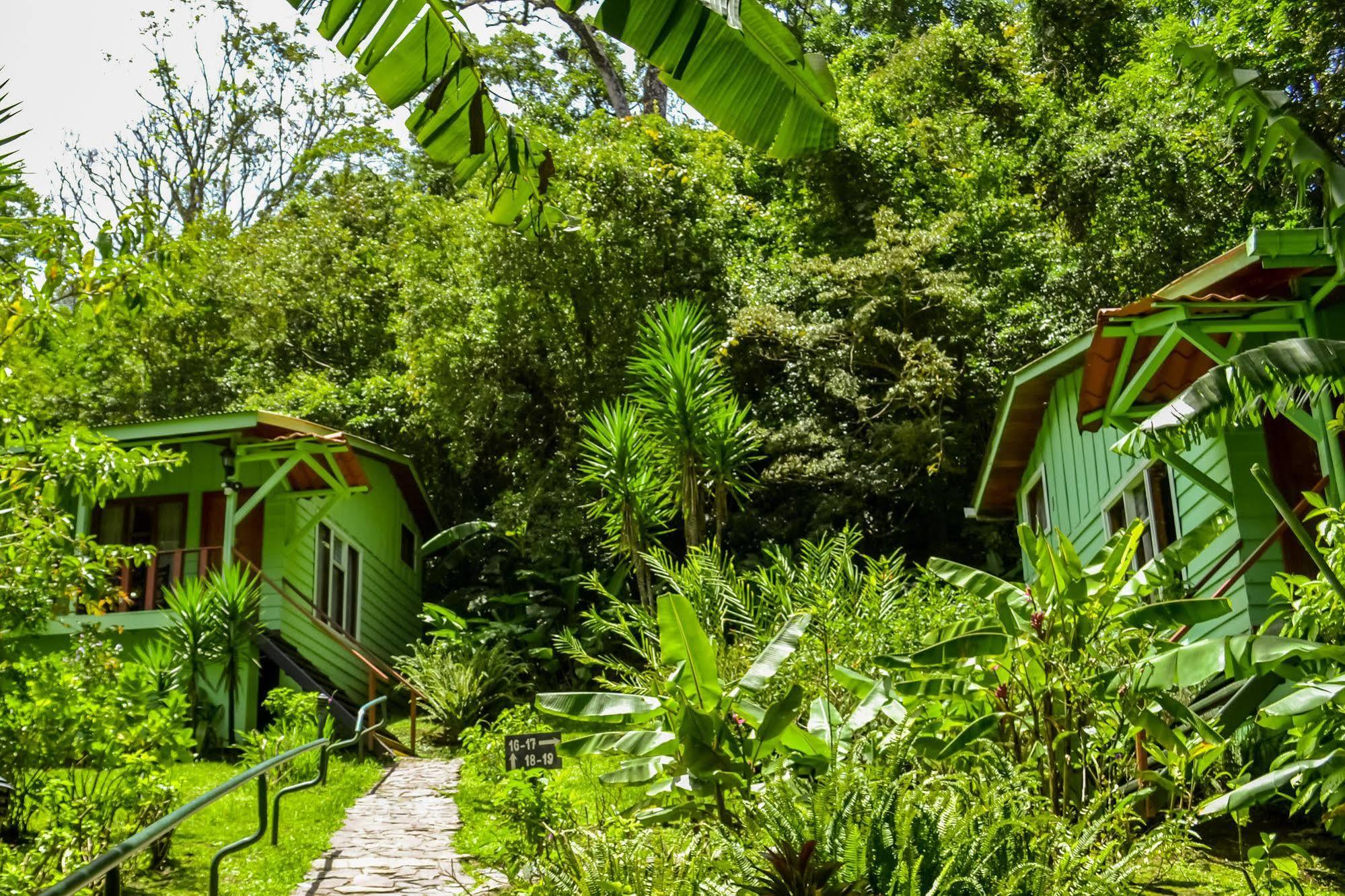 Jaguarundi Jungle Lodge - Monteverde Exteriér fotografie