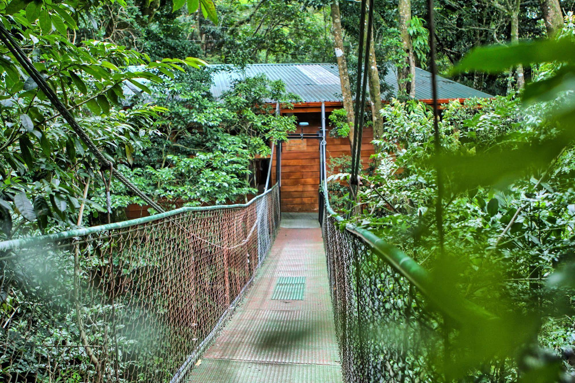 Jaguarundi Jungle Lodge - Monteverde Exteriér fotografie