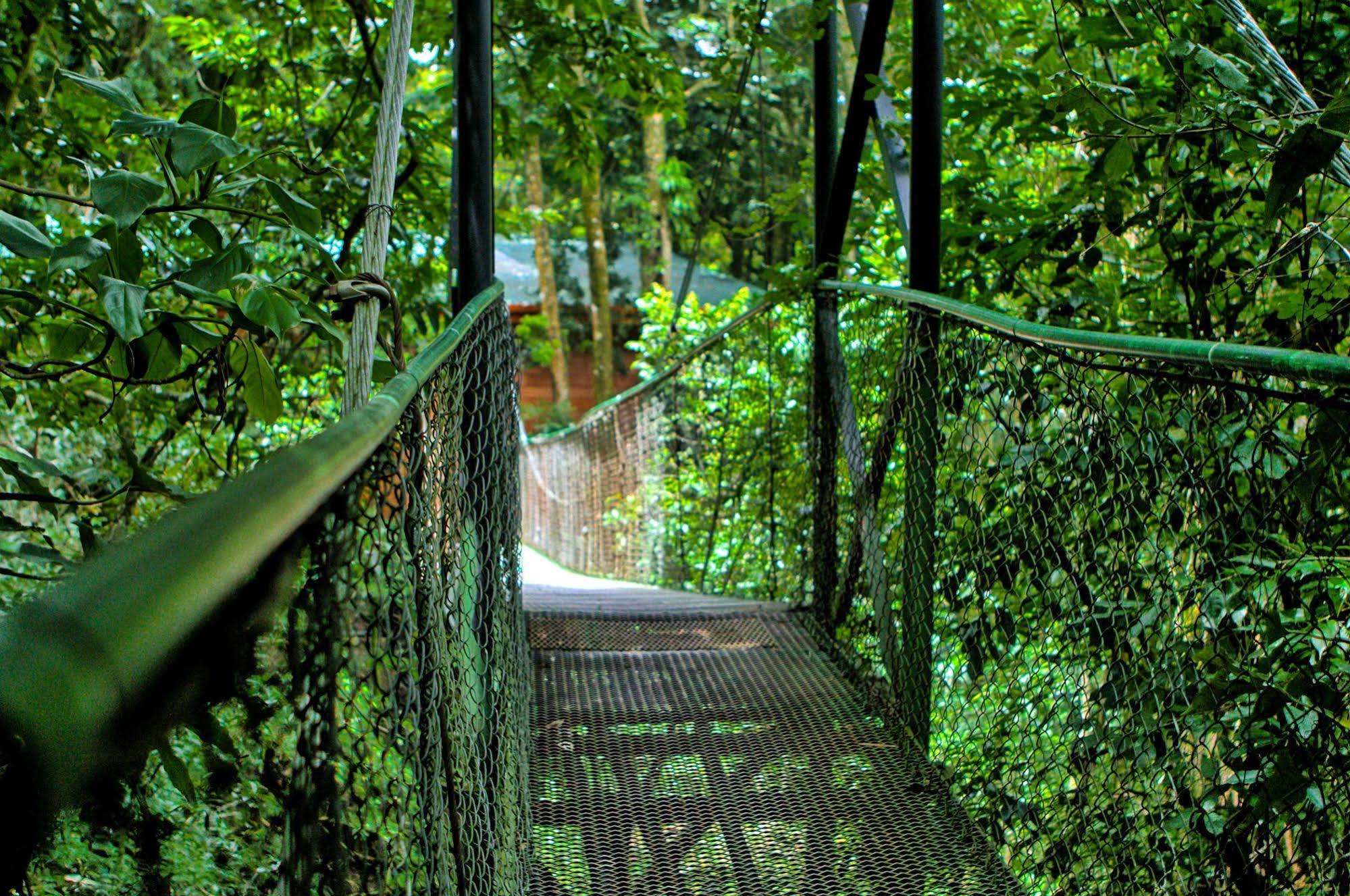 Jaguarundi Jungle Lodge - Monteverde Exteriér fotografie
