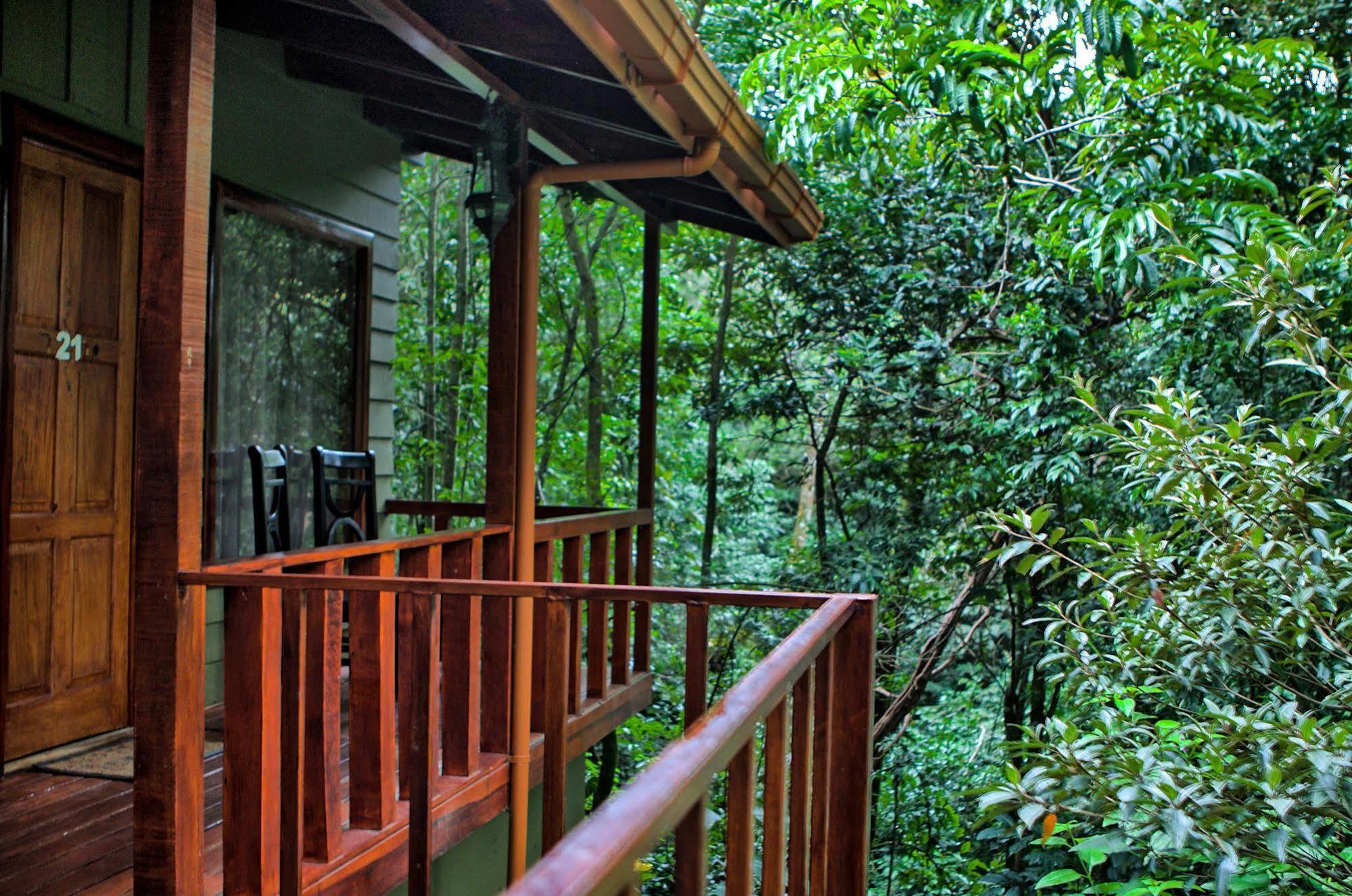 Jaguarundi Jungle Lodge - Monteverde Exteriér fotografie