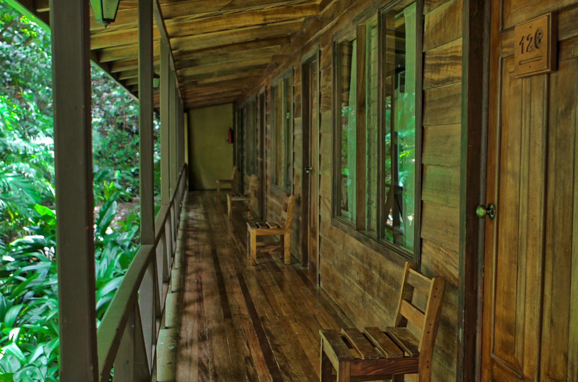 Jaguarundi Jungle Lodge - Monteverde Exteriér fotografie