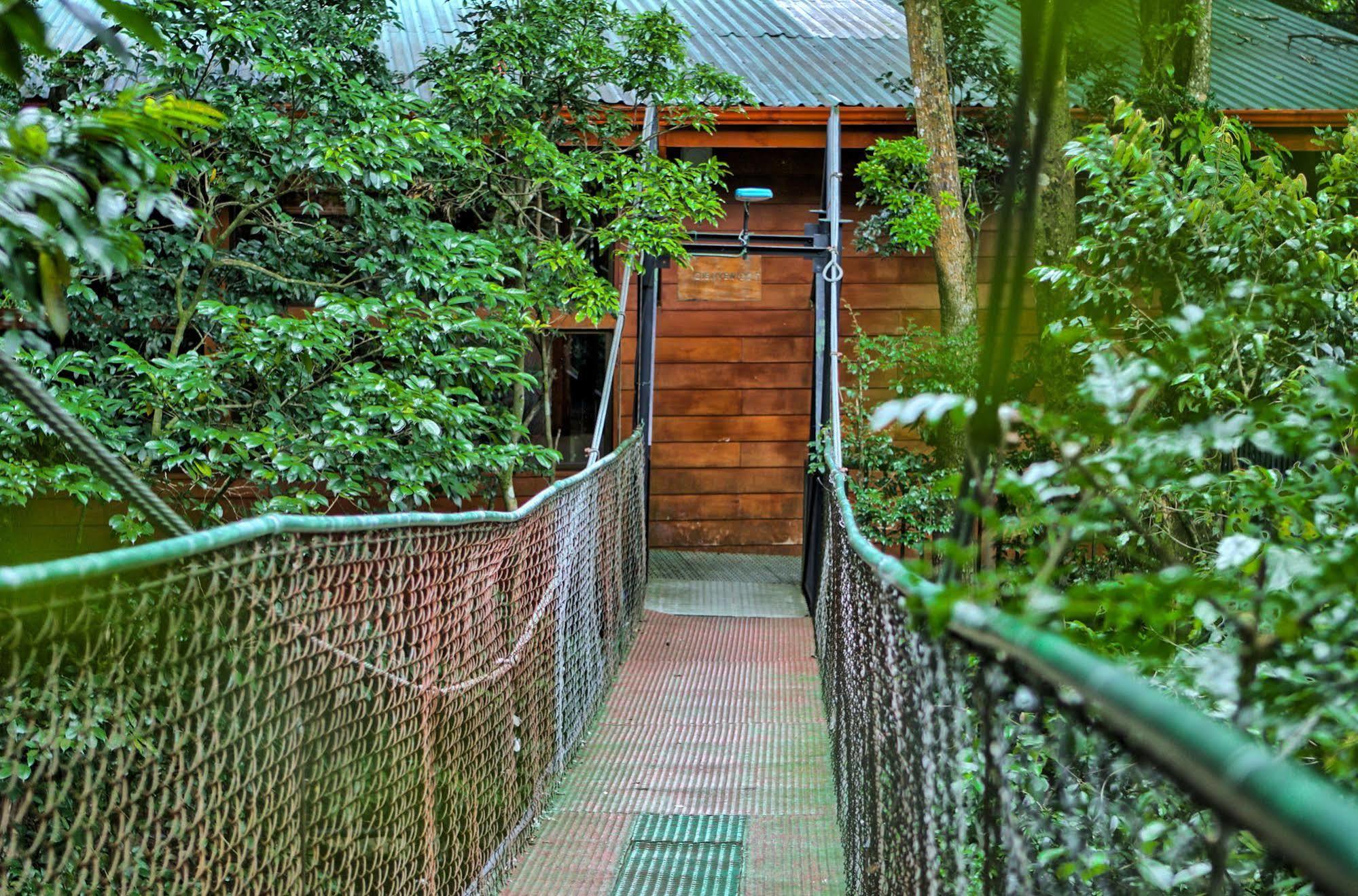 Jaguarundi Jungle Lodge - Monteverde Exteriér fotografie