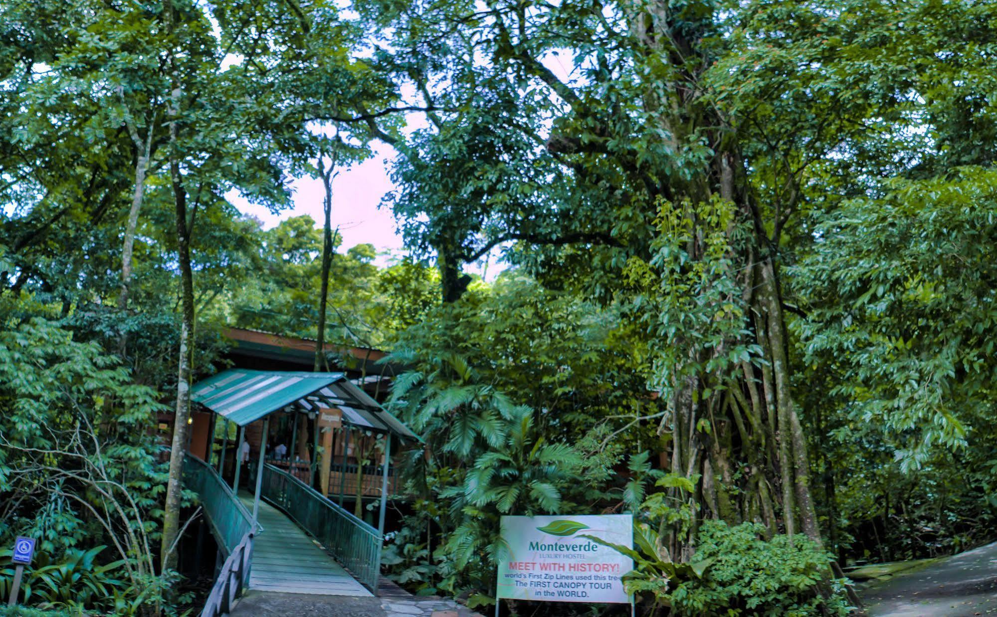 Jaguarundi Jungle Lodge - Monteverde Exteriér fotografie