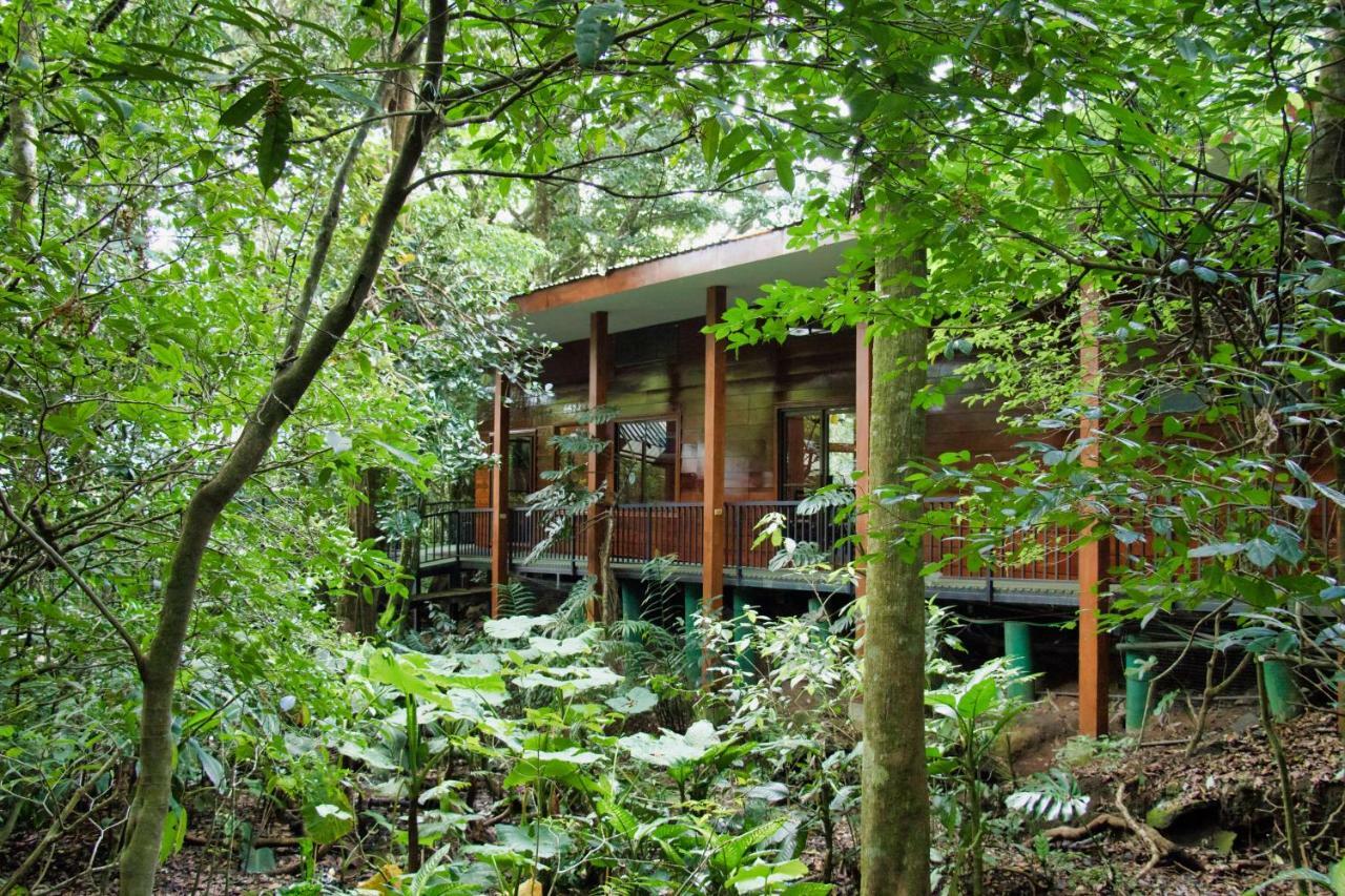 Jaguarundi Jungle Lodge - Monteverde Exteriér fotografie