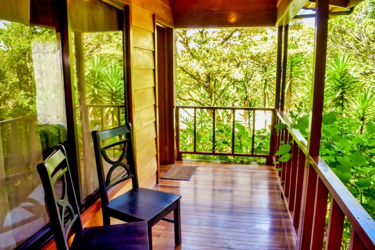Jaguarundi Jungle Lodge - Monteverde Exteriér fotografie