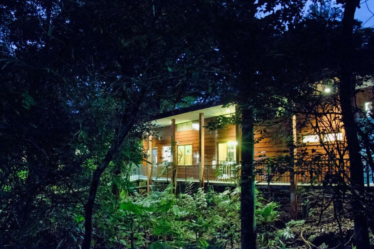 Jaguarundi Jungle Lodge - Monteverde Exteriér fotografie